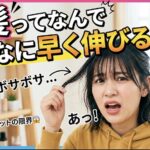 スクリーンショット 2026 05 08 10.17.10